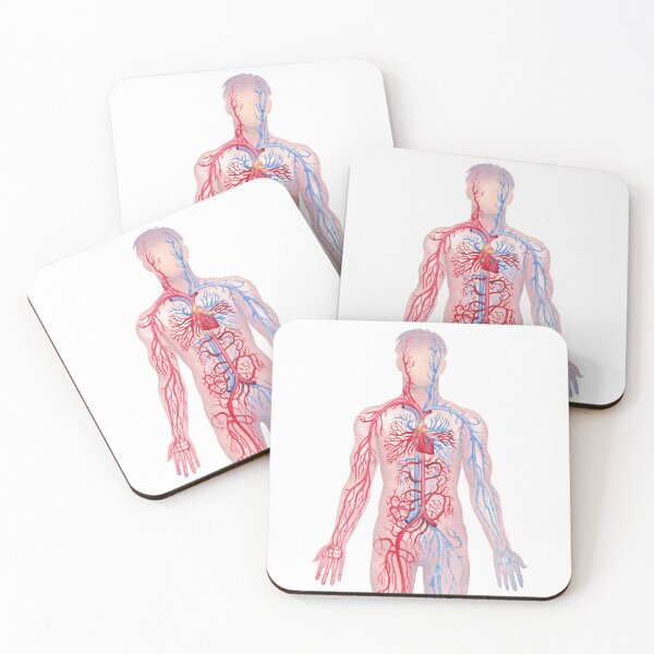 Item preview, Watercolor male cardiovascular  system designed and sold by Ekaterina Glazkova.