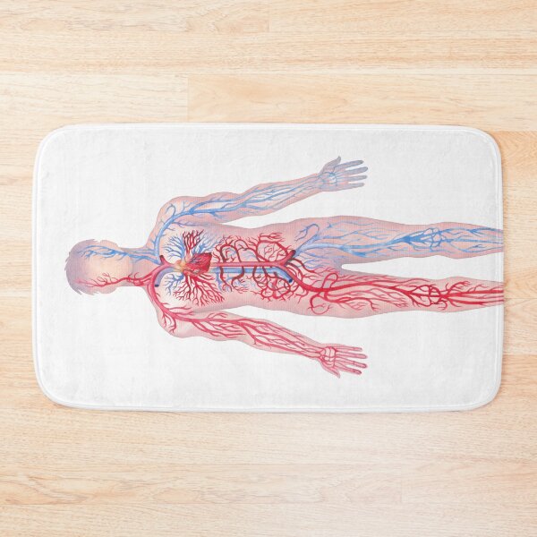 Item preview, Watercolor male cardiovascular  system designed and sold by Ekaterina Glazkova.