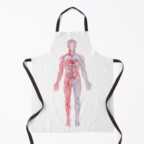 Item preview, Watercolor male cardiovascular system designed and sold by Ekaterina Glazkova.