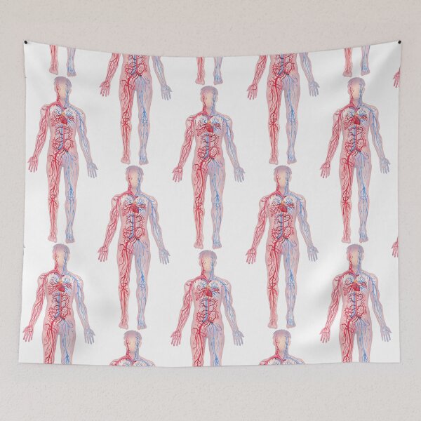 Item preview, Watercolor male cardiovascular  system designed and sold by Ekaterina Glazkova.