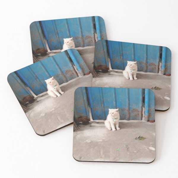 Item preview, Kitty mew Dhaka  designed and sold by suvashbarman.
