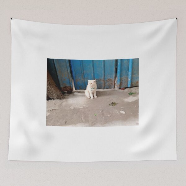 Item preview, Kitty mew Dhaka  designed and sold by suvashbarman.