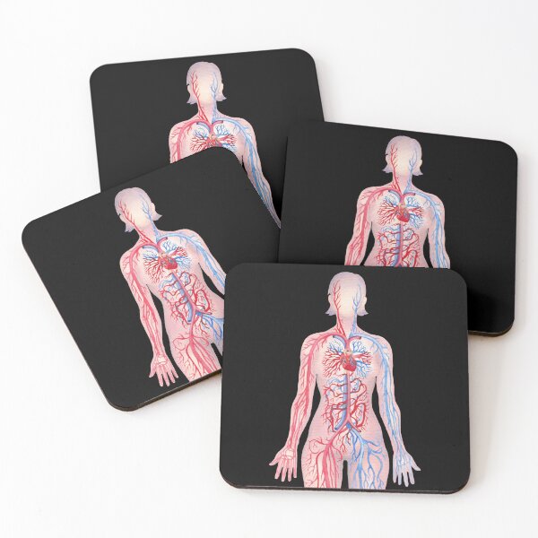 Item preview, Watercolor female cardiovascular system  designed and sold by Ekaterina Glazkova.
