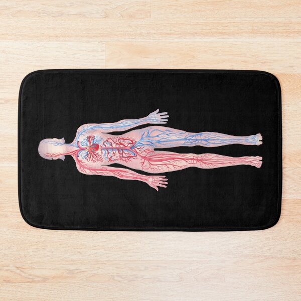 Item preview, Watercolor female cardiovascular system  designed and sold by Ekaterina Glazkova.