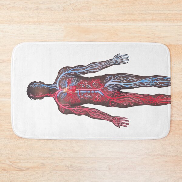 Item preview, Watercolor male and female cardiovascular systems designed and sold by Ekaterina Glazkova.