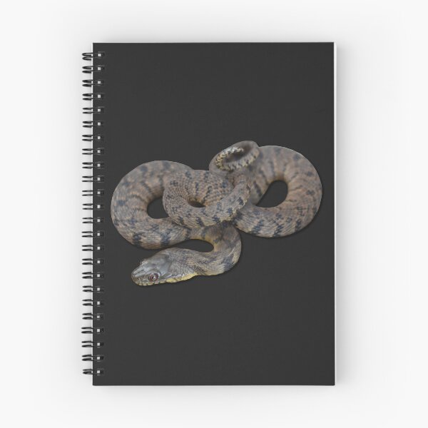 Item preview, Diamondback Water Snake designed and sold by Paul-Prints.