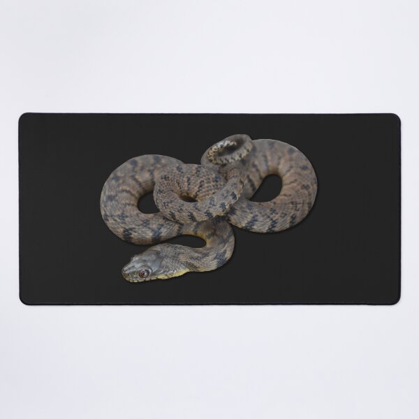 Item preview, Diamondback Water Snake designed and sold by Paul-Prints.