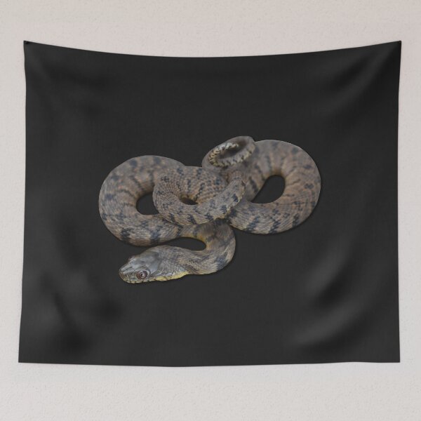 Item preview, Diamondback Water Snake designed and sold by Paul-Prints.