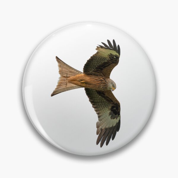 Item preview, Milano real en vuelo designed and sold by inspireyoureyes.