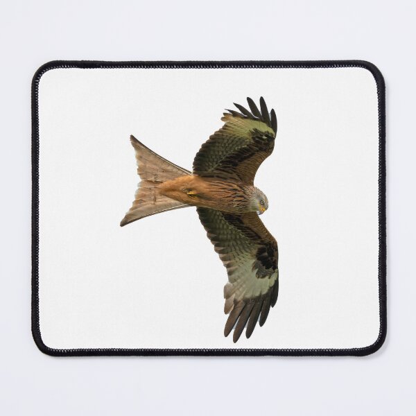 Item preview, Red Kite in Flight designed and sold by inspireyoureyes.