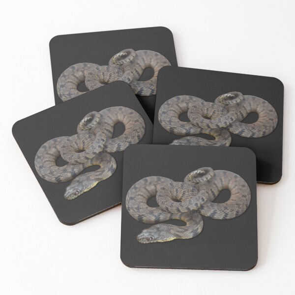 Item preview, Diamondback Water Snake designed and sold by Paul-Prints.