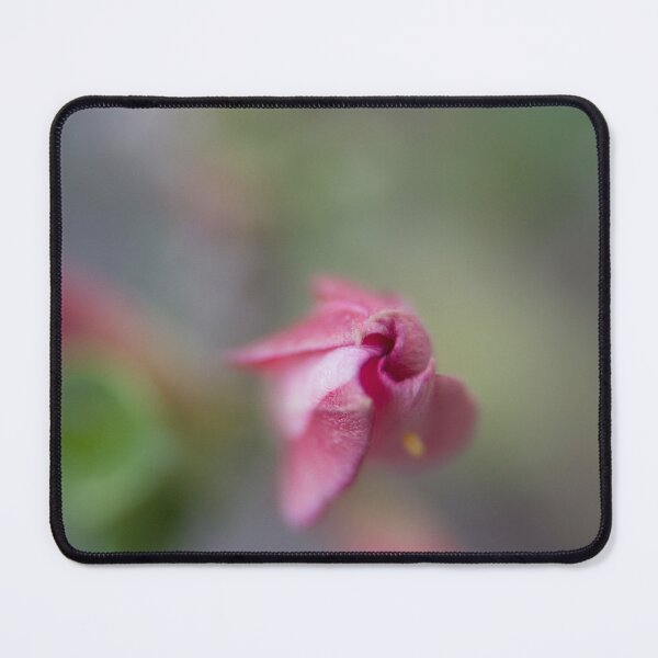 Item preview, Springing Desert Rose © Vicki Ferrari designed and sold by Vicki Ferrari Photography.