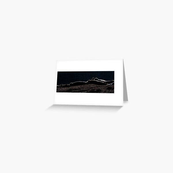 Seals Sunning Greeting Card