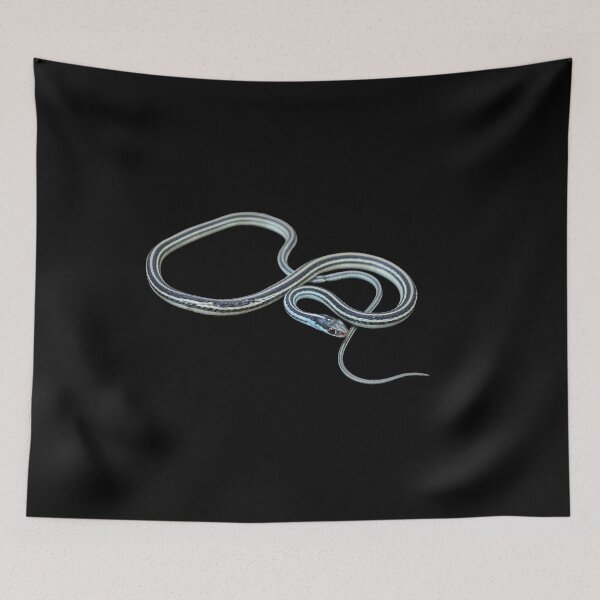 Item preview, Western Ribbon Snake designed and sold by Paul-Prints.