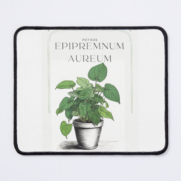 Item preview, Botanical Epipremnum aureum pothos in  pot rustic sketch by CallisC Arts ⭐⭐⭐⭐⭐ designed and sold by CallisC-Arts.