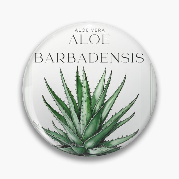 Item preview, Botanical Aloe Vera in  pot rustic sketch by CallisC Arts ⭐⭐⭐⭐⭐ designed and sold by CallisC-Arts.