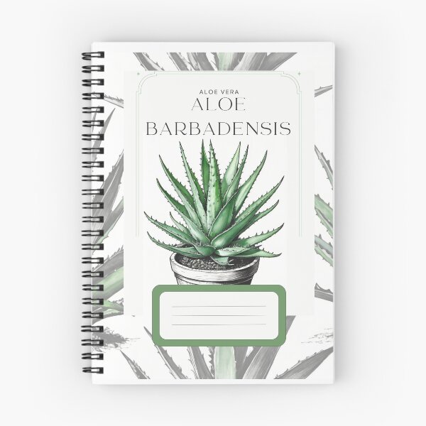 Item preview, Botanical Aloe Vera in  pot rustic sketch by CallisC Arts ⭐⭐⭐⭐⭐ designed and sold by CallisC-Arts.