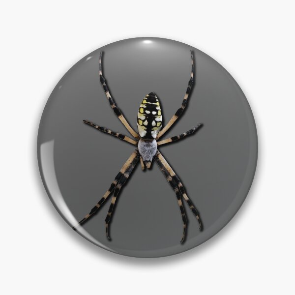 Item preview, Yellow Garden Spider designed and sold by Paul-Prints.