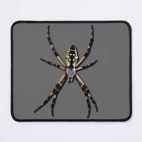 Item preview, Yellow Garden Spider designed and sold by Paul-Prints.