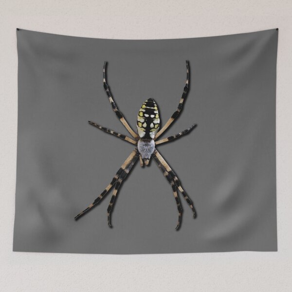 Item preview, Yellow Garden Spider designed and sold by Paul-Prints.