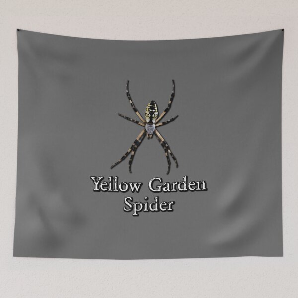 Item preview, Yellow Garden Spider designed and sold by Paul-Prints.
