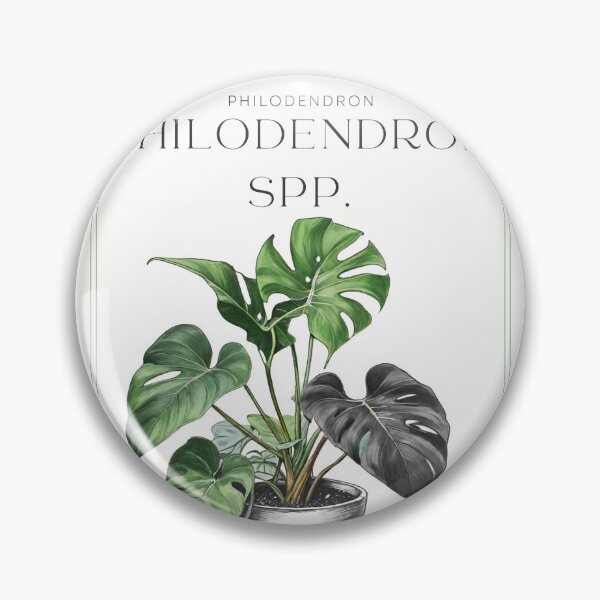 Item preview, Botanical Philodendron in  pot rustic sketch by CallisC Arts ⭐⭐⭐⭐⭐ designed and sold by CallisC-Arts.