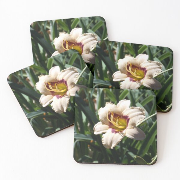 Item preview, White Bloom designed and sold by Naomi80.