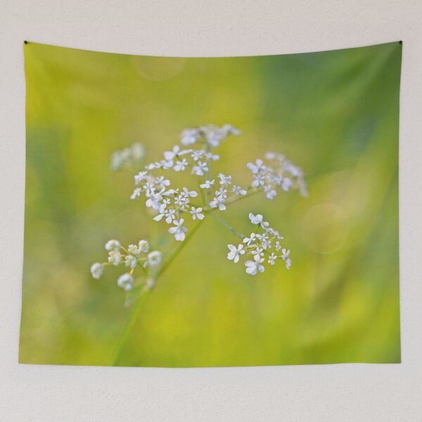 Item preview, Cow parsley  designed and sold by Rowena Ko.