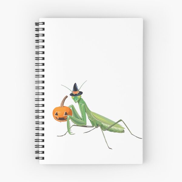 Item preview, Praying Mantis Halloween Spooky Pumpkin Witch designed and sold by nickp1480.