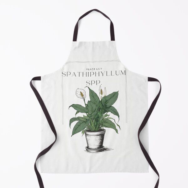 Item preview, Botanical Spathiphyllum Peace Lily in pot rustic sketch by CallisC Arts ⭐⭐⭐⭐⭐ designed and sold by CallisC-Arts.
