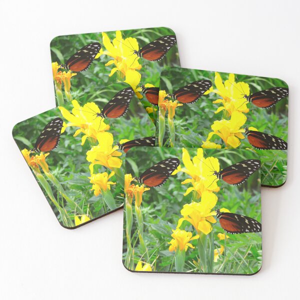 Item preview, Heliconius hecate butterfly on a yellow flag flowers designed and sold by Peter Etchells.