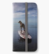 Owning the day iPhone Wallet/Case/Skin