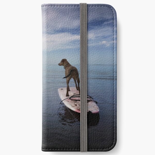 Owning the day iPhone Wallet