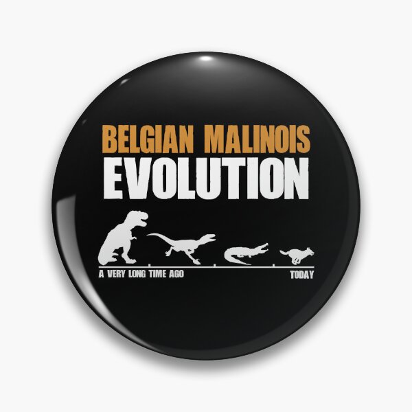 Item preview, Belgian Malinois Evolution Dinosaur Maliraptor Maligator Gift designed and sold by Guarddogdrive.