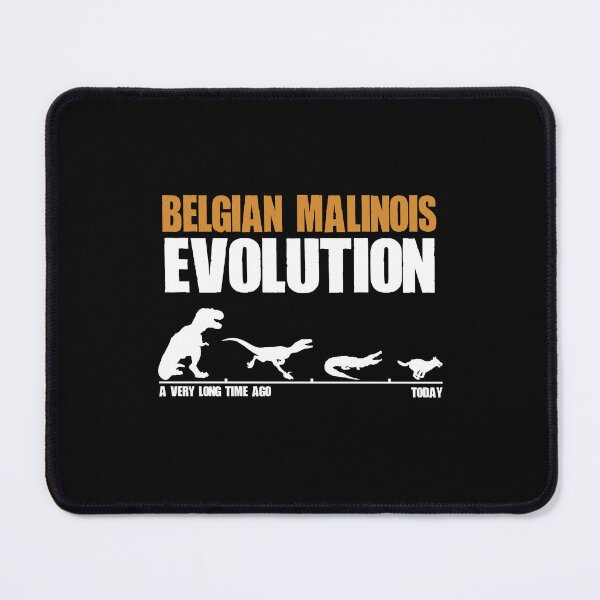 Item preview, Belgian Malinois Evolution Dinosaur Maliraptor Maligator Gift designed and sold by Guarddogdrive.