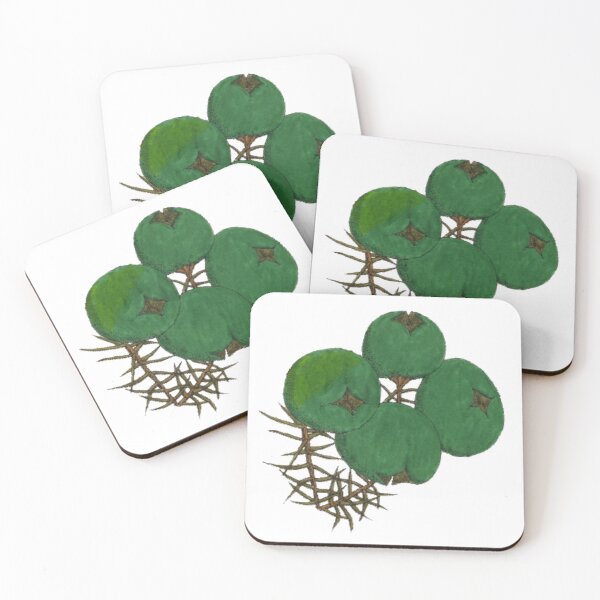 Item preview, Bacche di ginepro - Juniper berries designed and sold by PinoNatalizio.