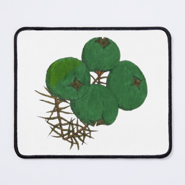 Item preview, Bacche di ginepro - Juniper berries designed and sold by PinoNatalizio.