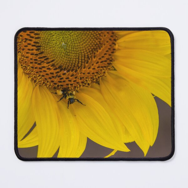 Item preview, Abeja descansando en un girasol designed and sold by Chelsea Schermerhorn.