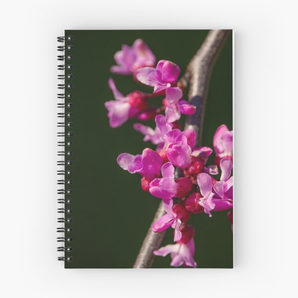 Item preview, Árbol floreciente en primavera designed and sold by Chelsea Schermerhorn.