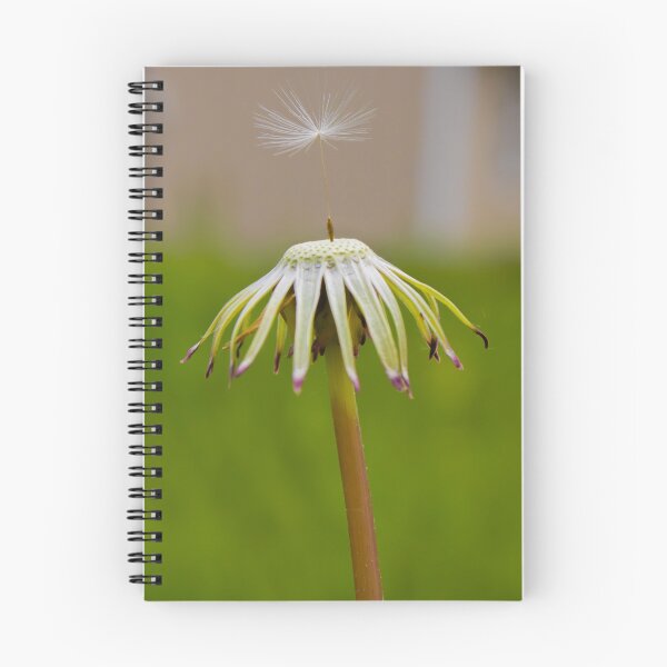 Item preview, A Single Seed Left designed and sold by Chelsea Schermerhorn.