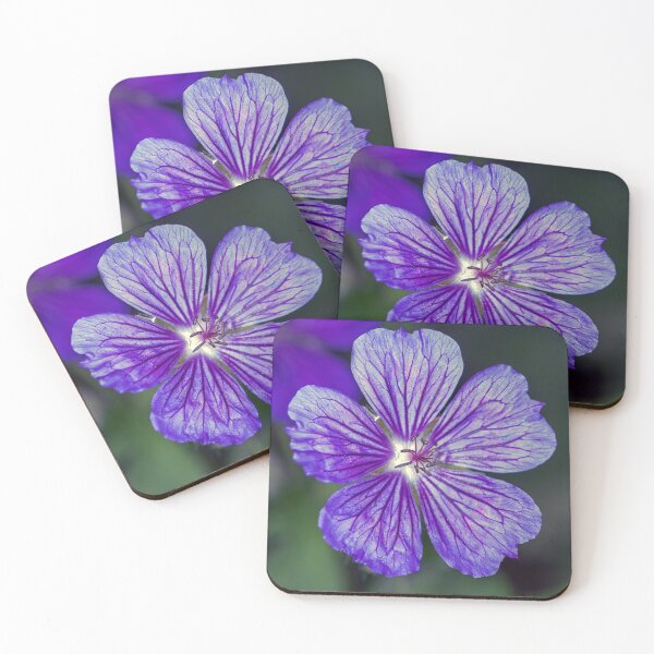 Item preview, Geranium designed and sold by Tom McPherson Photography.