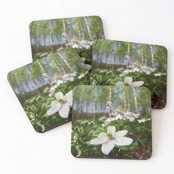 Item preview, Wood Anemone forest 2024 designed and sold by Jouko Lehto Photography.