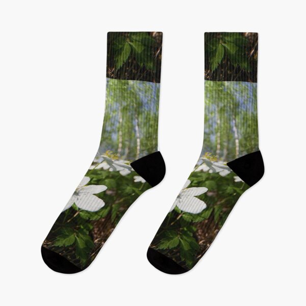 Item preview, Wood Anemone forest 2024 designed and sold by Jouko Lehto Photography.