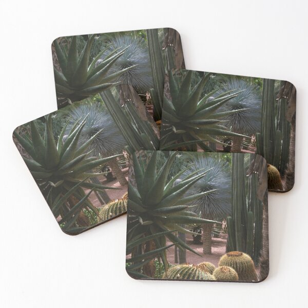 Item preview, Marrakech, Morocco - Jardin Majorelle Gardens Cactus  designed and sold by photophantom.