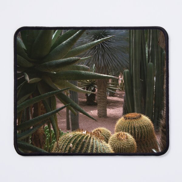 Item preview, Marrakech, Morocco - Jardin Majorelle Gardens Cactus designed and sold by photophantom.