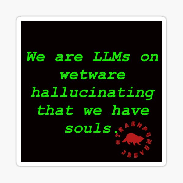 Item preview, Llms designed and sold by TrashPandaSec.