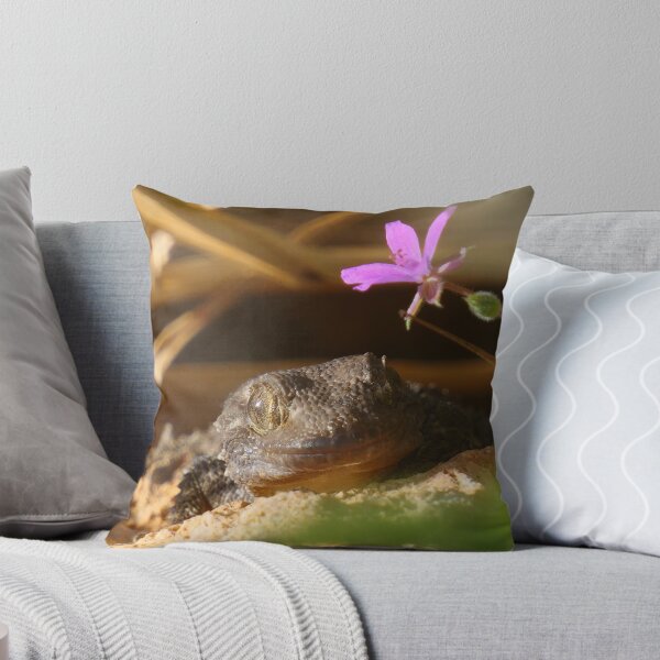 Item preview, Smiling wall gecko designed and sold by ChicVoyagePics.
