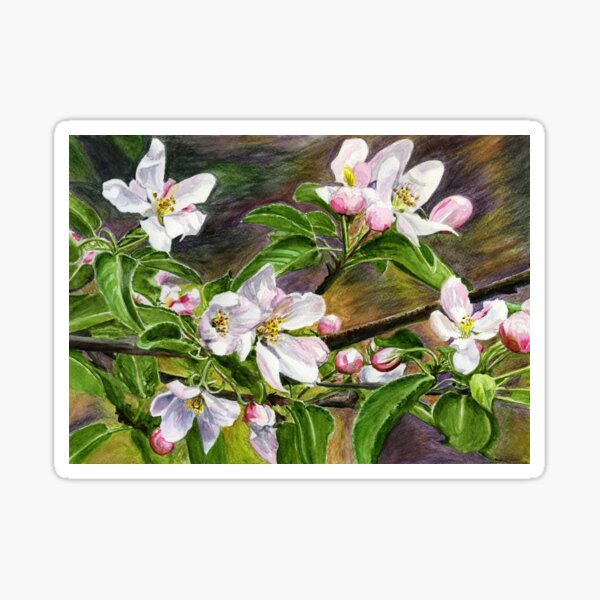 Item preview, Apple Blossom designed and sold by LymphomaLass.
