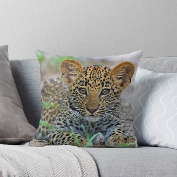 Item preview, 3 MONTH OLD LEOPARD CUB designed and sold by Anthony Goldman.