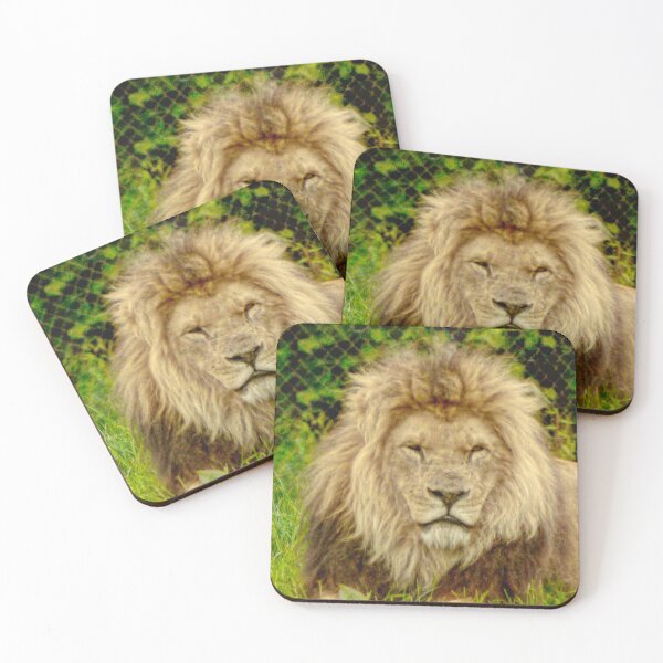 Item preview, Lion designed and sold by jalfc46.
